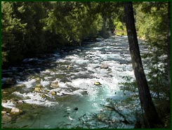 View of McKenzie River by the house